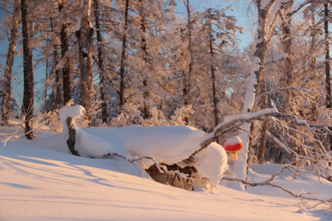 千里黄云白日曛北风吹雁雪纷纷，这是一句描绘冬季风景的诗句。下面我们将以这句诗为灵感，编写一篇关于如何完成某项任务或学习某种技能的详细步骤指南。