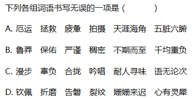 遇组词，让文字绽放无限魅力！