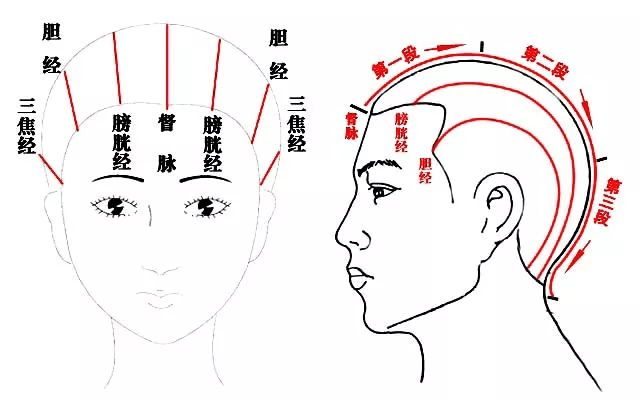 头皮，健康与美丽的交汇点