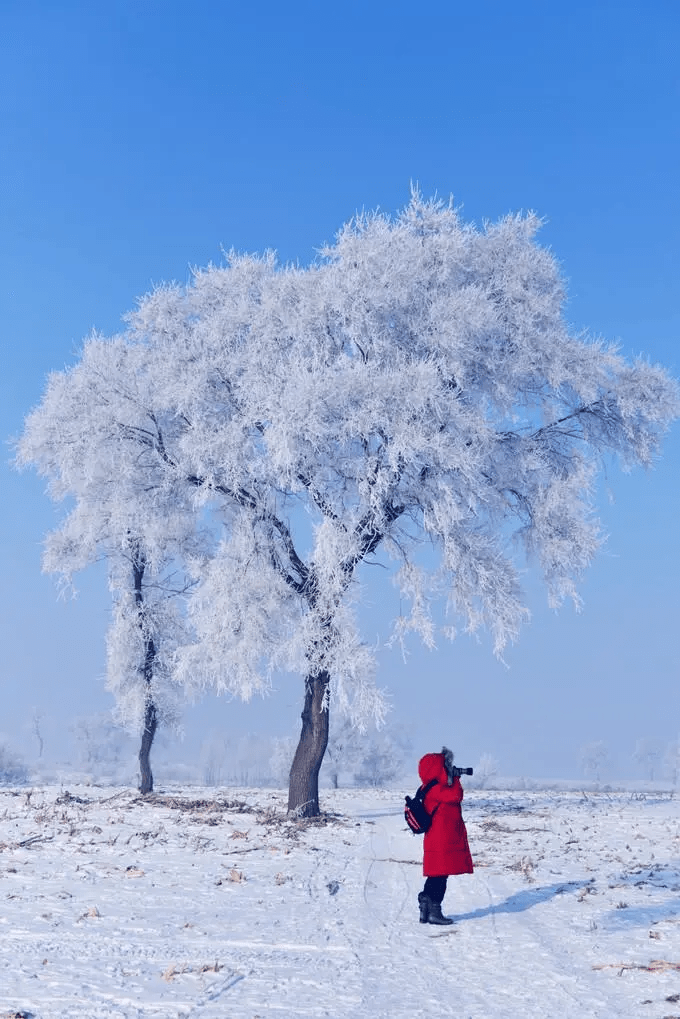 雪白的世界，总是让人感到心旷神怡。站在白茫茫的雪地上，仿佛置身于一个纯净无暇的童话世界，所有的烦恼和忧虑都被抛到了脑后。今天，让我们一起来探索这个美丽的自然景象，感受雪白的魅力。