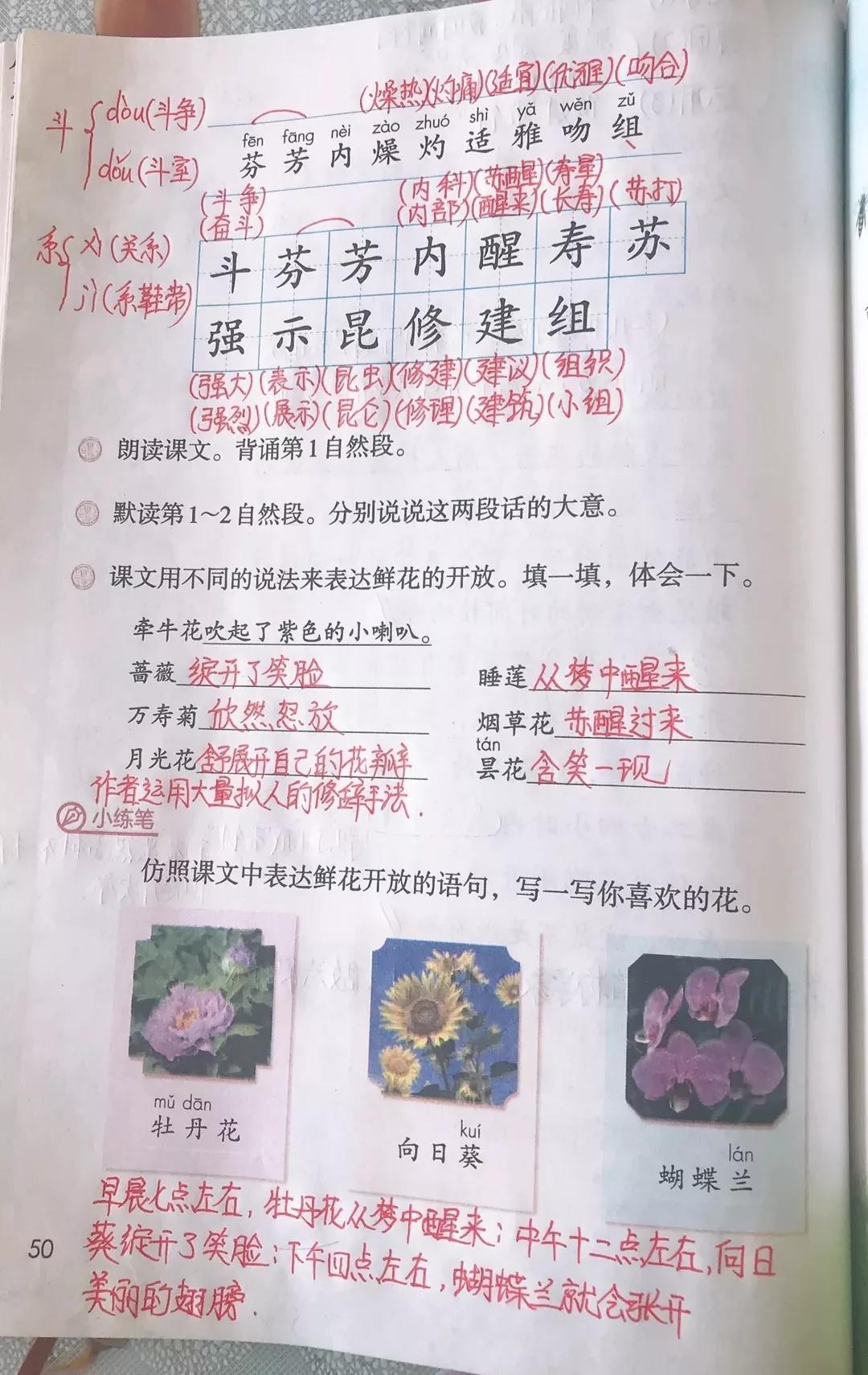 中的组词