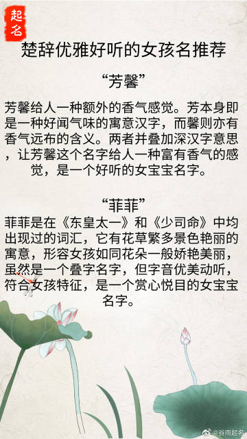 芙组词组这篇文章，将会带领大家走进一个充满神秘与美丽的芙组世界。在这里，我们将一起探寻芙组词组的魅力，以及它们背后的故事。